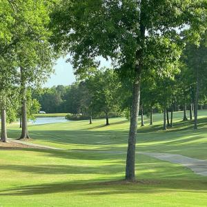 009-465670-IMG_4788_13405832