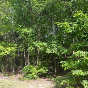 006-465670-IMG_4825_13405875