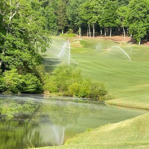 008-465670-IMG_4771_13405779