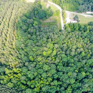 dji_fly_20230609_161826_805_168634192091
