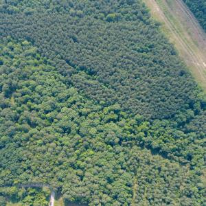 DJI_0801