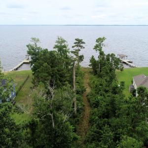 View of Neuse