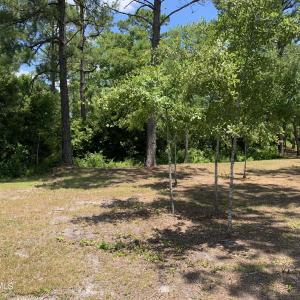Partially Cleared