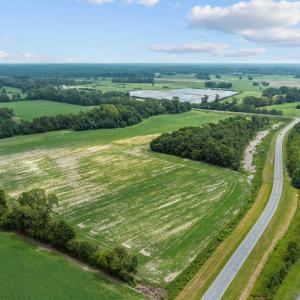 5-web-or-mls-DJI_0436