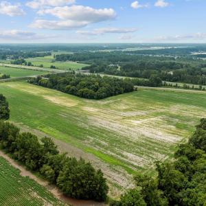 4-web-or-mls-DJI_0435