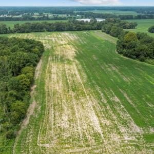 8-web-or-mls-DJI_0439