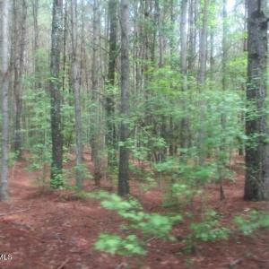 Wooded