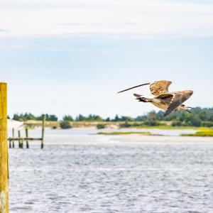 N/A Parkertown Road, Hubert, NC 28539