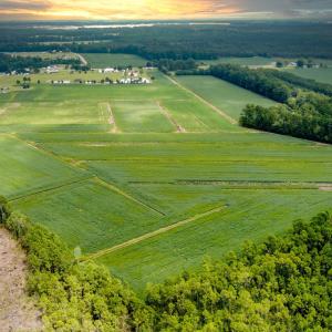 N/A Parkertown Road, Hubert, NC 28539