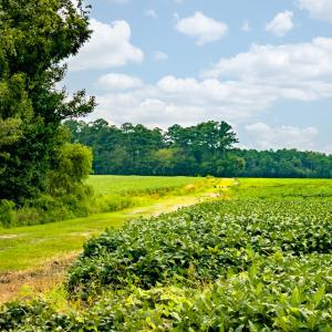 N/A Parkertown Road, Hubert, NC 28539