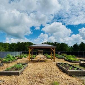 Garden2