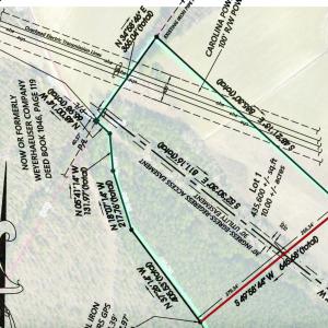 Survey Snip with MLS Overlay