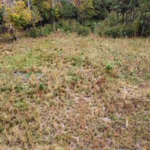 dji_fly_20221122_141934_109_166921599584