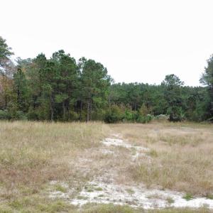 dji_fly_20221122_141912_107_166921599988