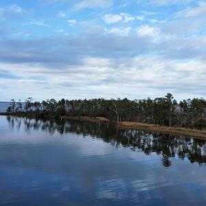 dji_fly_20221122_135012_87_1669216047094