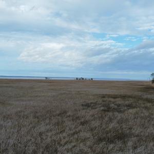 dji_fly_20221122_143024_123_166921596904