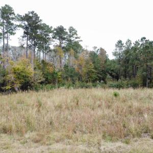 dji_fly_20221122_141922_108_166921599785