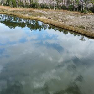 dji_fly_20221122_135020_88_1669216043054