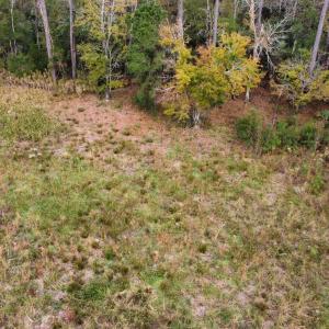 dji_fly_20221122_142152_119_166921597536