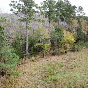 dji_fly_20221122_141948_111_166921599192