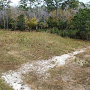 dji_fly_20221122_142030_115_166921598355