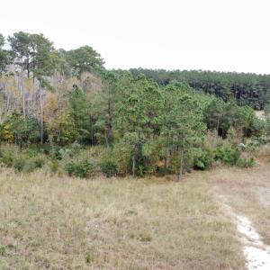 dji_fly_20221122_142106_117_166921597919