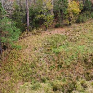 dji_fly_20221122_141946_110_166921599390