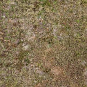 dji_fly_20221122_142142_118_166921597709