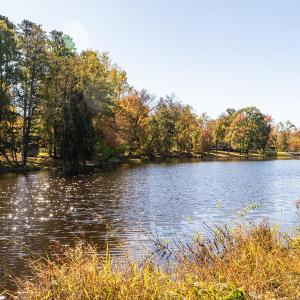 10 BobVaughRd GroundLevel10_MLS