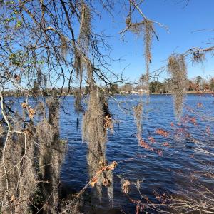 20180403190522595054000000-o