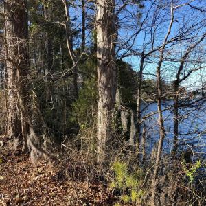 20180403190551190861000000-o