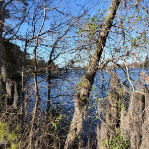 20180403190542516176000000-o