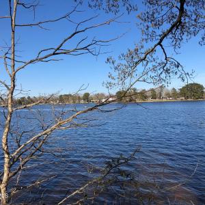 20180403190432163945000000-o