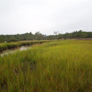 North River