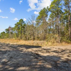 9-web-or-mls-DSC08709