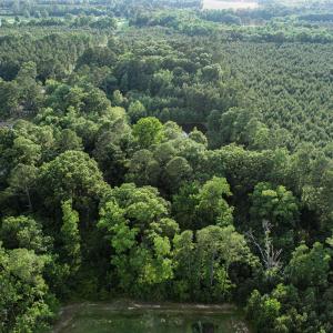 DJI_0931