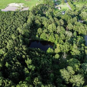 DJI_0936