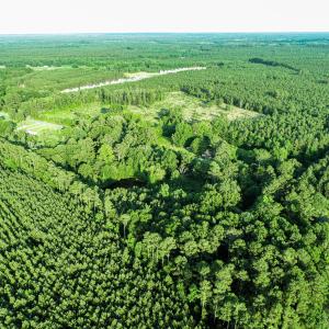 DJI_0941