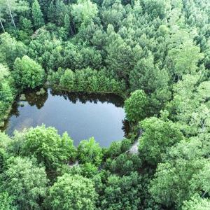 DJI_0944