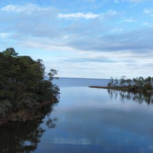 dji_fly_20221122_135008_86_1669216051429