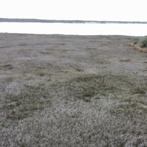 dji_fly_20221122_143242_130_166921595740