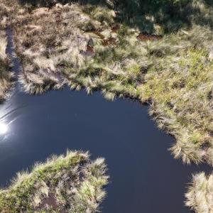 DJI_20240814145722_0088_D