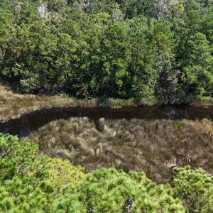 DJI_20240814145616_0086_D