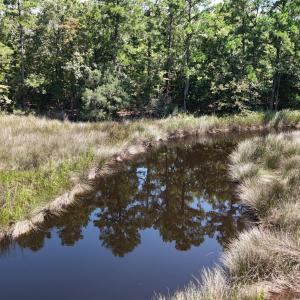 DJI_20240814145950_0097_D