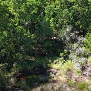 DJI_20240814145742_0090_D