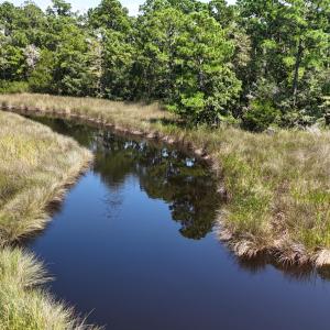 DJI_20240814145945_0096_D