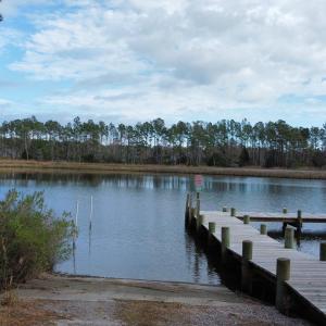 dji_fly_20221122_134850_83_1669216062764