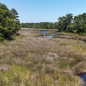 DJI_20240814145959_0098_D