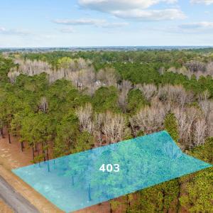 Lot 403_0336