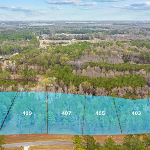 Lot 401-411_0316